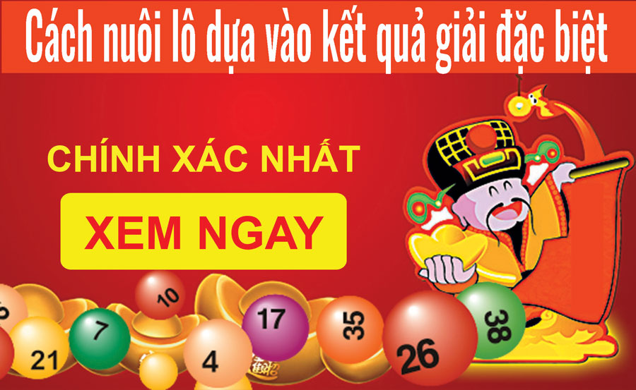 cách nuôi lô dựa vào giải đặc biệt